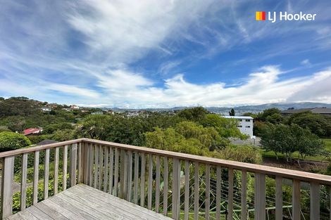 Photo of property in 28 Spottiswoode Street, Andersons Bay, Dunedin, 9013