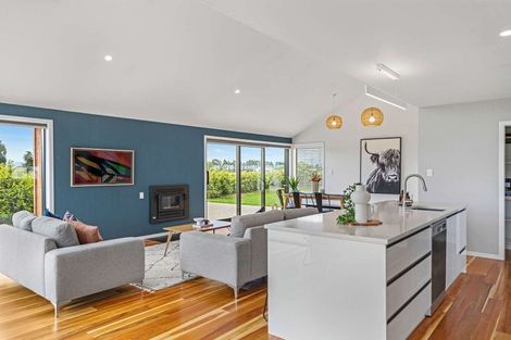 Photo of property in 98 Liverpool Street, Riversdale, 9776