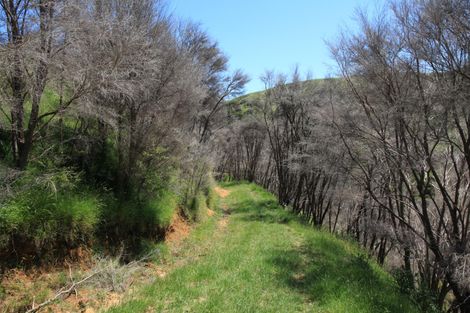 Photo of property in 945 Te Papatapu Road, Raglan, Te Mata, 3894