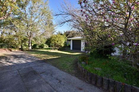 Photo of property in 21 Taverner Street, Carterton, 5713