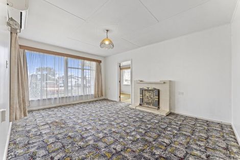 Photo of property in 20 Winchester Street, Levin, 5510