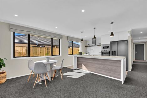 Photo of property in 20 Drayton Street, Richmond, 7020