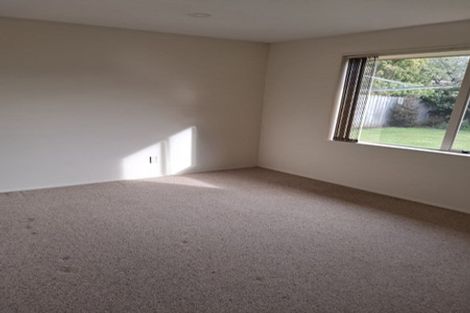 Photo of property in 4 Netherby Lane, Shirley, Christchurch, 8061