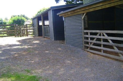 Photo of property in 341a Matauri Bay Road, Kaeo, 0478