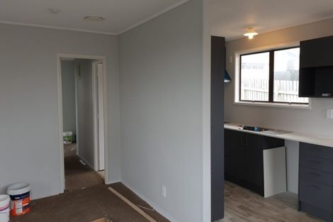 Photo of property in 19 Matthews Road, Flat Bush, Auckland, 2019