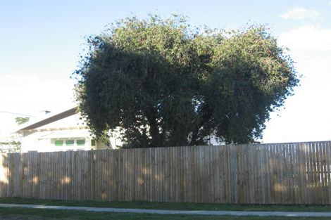 Photo of property in 29 Carnell Street, Napier South, Napier, 4110
