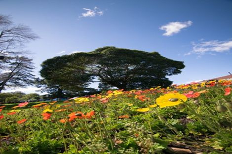 Photo of property in 453 Fraser Street, Parkvale, Tauranga, 3112