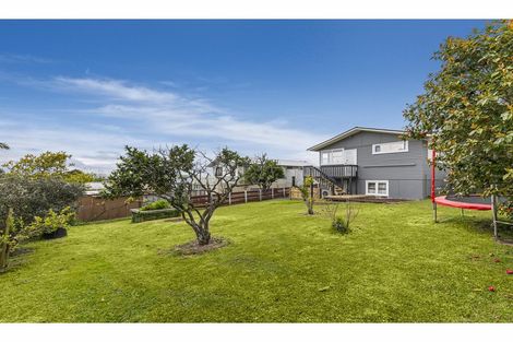 Photo of property in 12 Patts Avenue, Glendene, Auckland, 0602