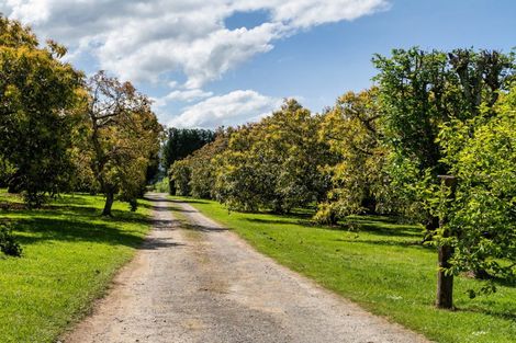 Photo of property in 85 Wharawhara Road, Tahawai, Katikati, 3178