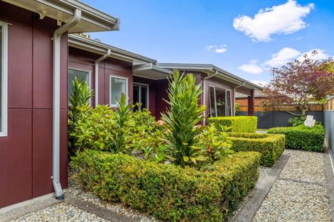 Photo of property in 58d Gilbert Street, New Plymouth, 4310