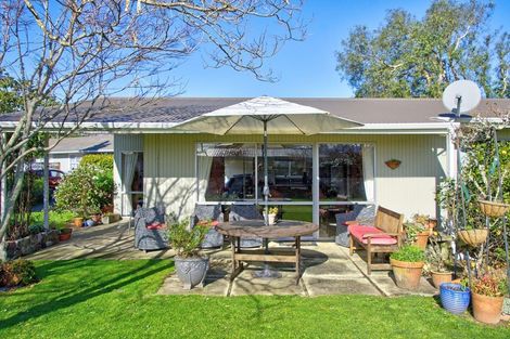Photo of property in 49b Cornwall Street, Masterton, 5810