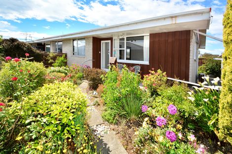 Photo of property in 72d Grove Street, Saint Kilda, Dunedin, 9012