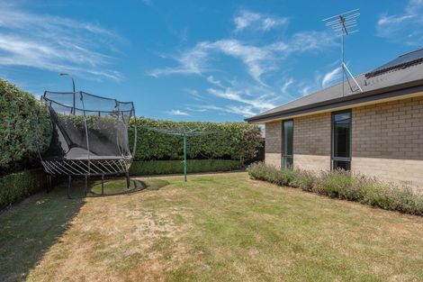 Photo of property in 29 Tremorne Avenue, Blenheim, 7201
