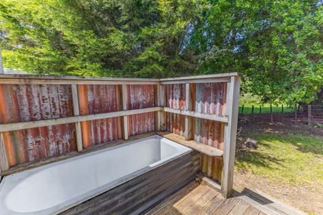 Photo of property in 143b Otapouri Road, Owhango, 3989