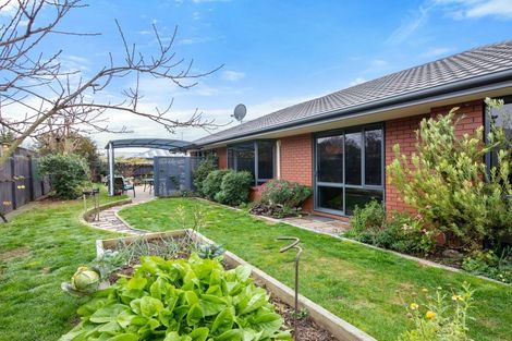 Photo of property in 70 Muller Road, Blenheim, 7201