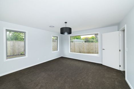 Photo of property in 163a Denbigh Street, Feilding, 4702