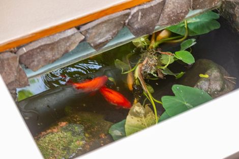 Photo of property in 61 Te Aroha Street, Hamilton East, Hamilton, 3216