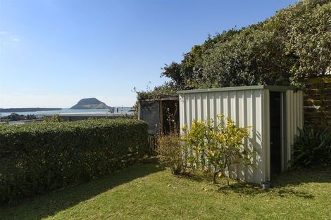 Photo of property in 10 Hazel Terrace, Otumoetai, Tauranga, 3110