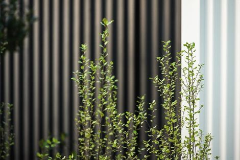 Photo of property in 8 Swift Court, Tauranga South, 3112