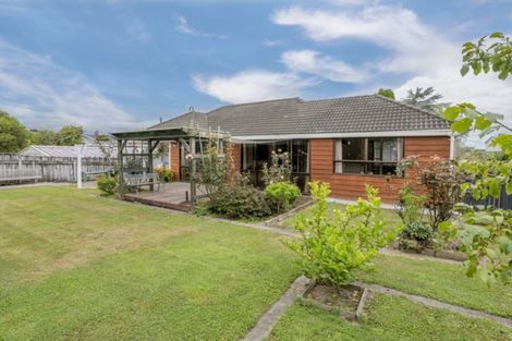Photo of property in 16 Chester Street, Levin, 5510