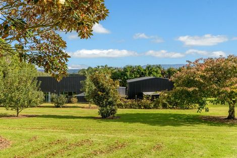 Photo of property in 86 Prole Road, Omokoroa, Tauranga, 3172