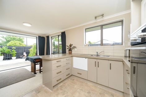 Photo of property in 34a Fitzroy Street, Terrace End, Palmerston North, 4410