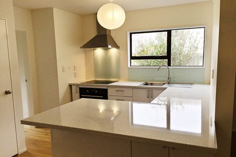 Photo of property in 43b Liardet Street, Vogeltown, Wellington, 6021