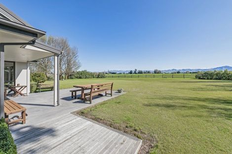 Photo of property in 122 East Street, Rotherham, 7379