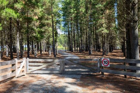 Photo of property in 256 Bannockburn Road, Cromwell, 9384