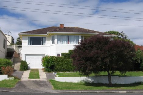 Photo of property in 44 Staveley Avenue, Mount Roskill, Auckland, 1041