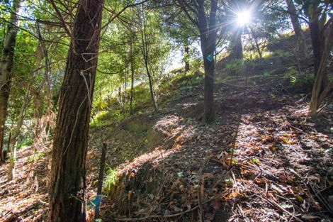 Photo of property in 104 Sandon Road, Feilding, 4702