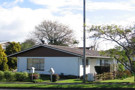 Photo of property in 319 Thames Street, Morrinsville, 3300