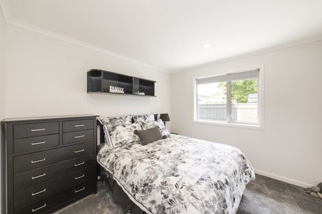 Photo of property in 31a Manson Street, Terrace End, Palmerston North, 4410