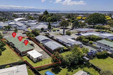 Photo of property in 219a Otumoetai Road, Otumoetai, Tauranga, 3110