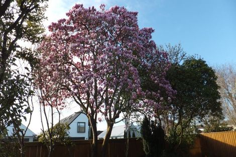 Photo of property in 1/104 Rugby Street, Merivale, Christchurch, 8014