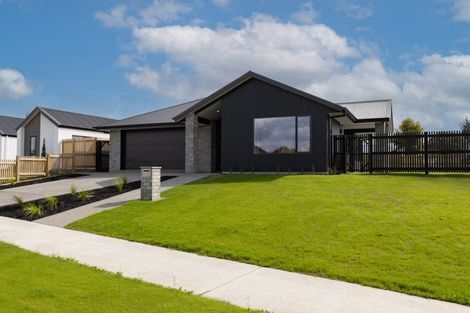 Photo of property in 7 Keri Rua Road, Leamington, Cambridge, 3495