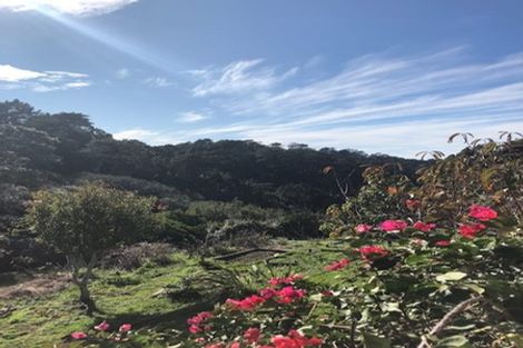 Photo of property in 265 Boiler Gully Road, Manukau Heads, Waiuku, 2684