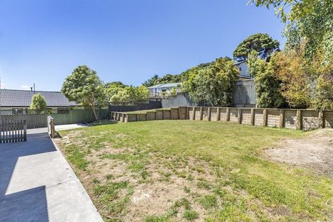 Photo of property in 45 Albatross Close, Whitby, Porirua, 5024