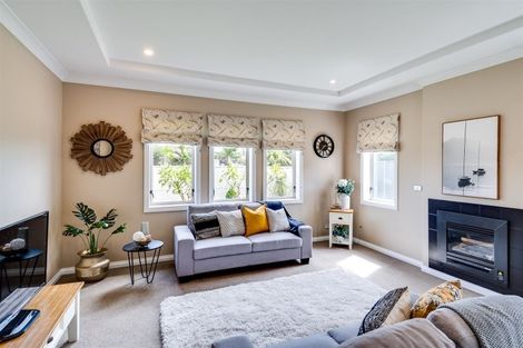 Photo of property in 117 Hunter Drive, Awatoto, Napier, 4110