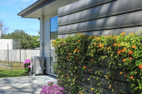 Photo of property in 14 Harlock Place, Huntly, 3700