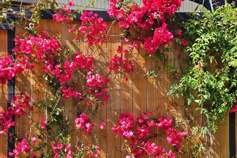 Photo of property in 10 Waianga Place, Omapere, Kaikohe, 0473