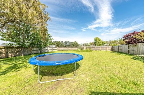 Photo of property in 30 Alexandra Street, Marton, 4710