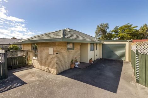 Photo of property in 31b Litchfield Street, Redwoodtown, Blenheim, 7201
