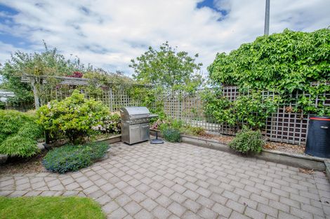 Photo of property in 239 Macandrew Road, Forbury, Dunedin, 9012