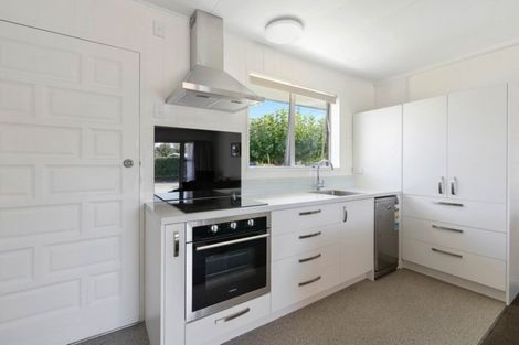 Photo of property in 115a Centennial Avenue, Thames, 3500