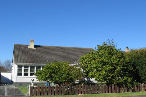 Photo of property in 805 Tamatea Street, Mahora, Hastings, 4120