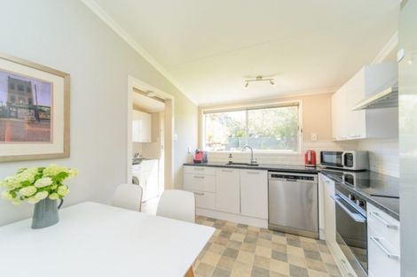 Photo of property in 15 Opawa Place, Terrace End, Palmerston North, 4410