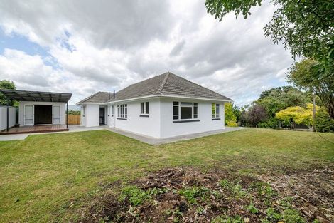 Photo of property in 36 Rainforth Street, Roslyn, Palmerston North, 4414