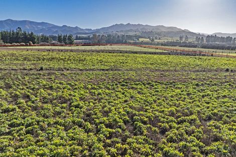 Photo of property in 84 Woodside Road, Matangi, Hamilton, 3284