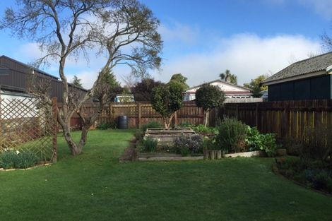 Photo of property in 12 Vincent Street, Matamata, 3400